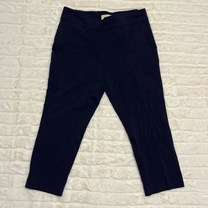 Navy Blue Pants